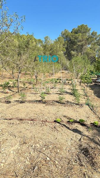 Foto a651c350-c7e0-451a-964b-a0f2896d12ff. Propriété dans n/a dans Algaida