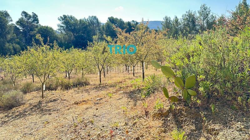 Foto b45656a4-07f5-4963-8d85-20eab7c294c4. Propriété dans n/a dans Algaida