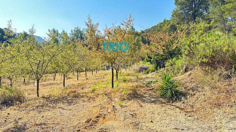 Foto dd156d92-ae97-470c-a41e-0dbb00d3c245. Propriété dans n/a dans Algaida