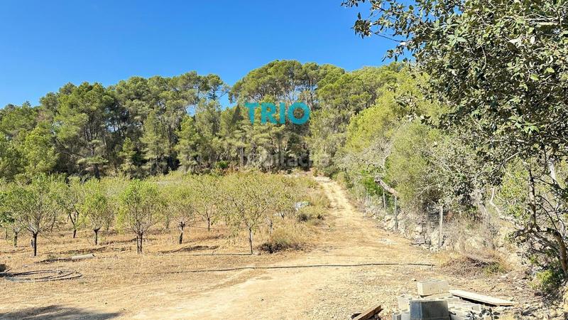 Foto e86ab568-76af-4a17-8ab1-525ea9b922a3. Propriété dans n/a dans Algaida