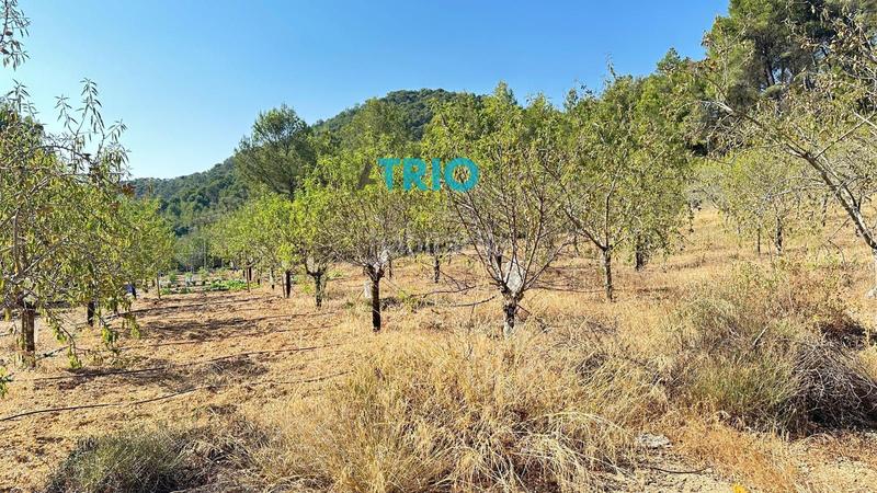 Foto eb264cee-de55-4554-b844-c83f78ec43f6. Propriété dans n/a dans Algaida