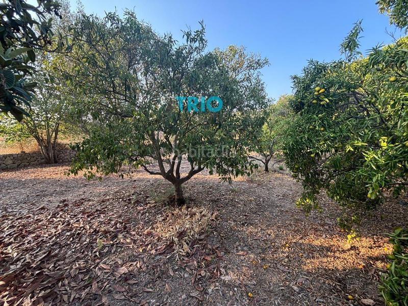 Foto 77673d78-168d-453f-8489-951d580d90ec. House with heating pool in Sencelles