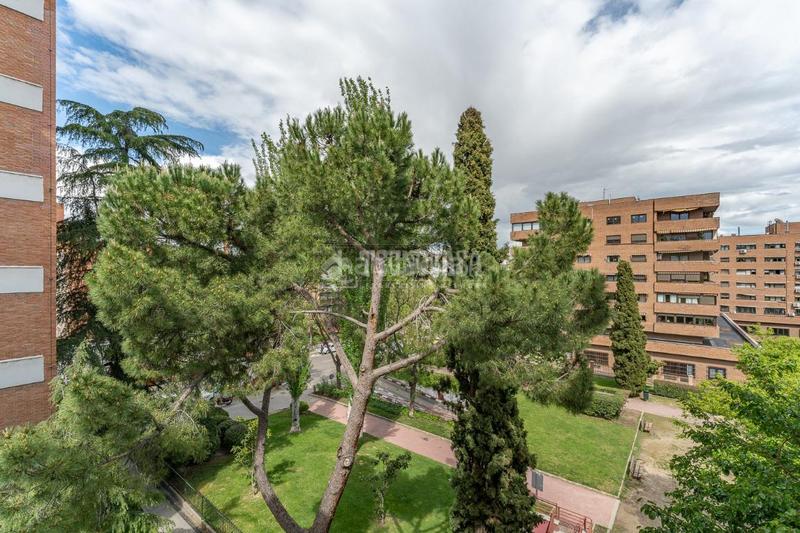 Foto 79e11b3f-7116-4493-a5db-d50ada4f711c. Piso  en venta en Hispanoamérica-Bernabéu Madrid