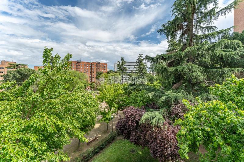 Foto fa0fbcd9-2de6-45f5-b3c2-264279668a2e. Piso  en venta en Hispanoamérica-Bernabéu Madrid