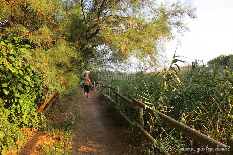 Foto 35f9e20c-af68-4403-803e-98aaeff54d05. Terrain résidentiel dans carrer marqués de tamarit 33 dans Altafulla