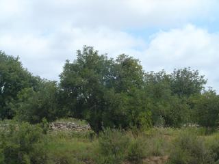 Finca rstica a Riera de Gai (La). Terreno en venta en sant jordi-babilonia