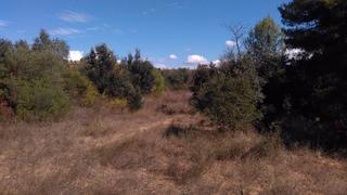 Finca rústica a Guiamets (Els). Terreno en venta en via sense nom