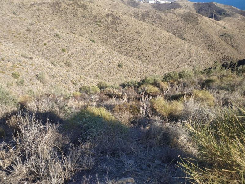 Foto 499c0a9a-2f15-4d47-b019-64a5c5f2431d. Propriété dans El Peñoncillo Torrox