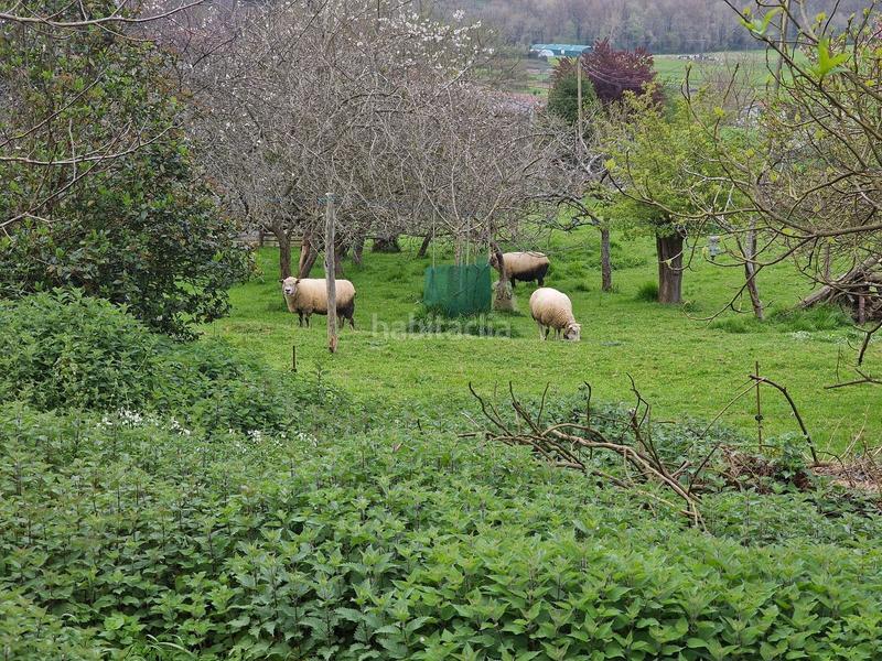 Foto 5e4221ed-96d7-4cfb-8034-4ef586a6a0c7. Casa con riscaldamento in Grado