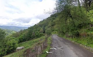 Finca rústica a San Martín del Rey Aurelio