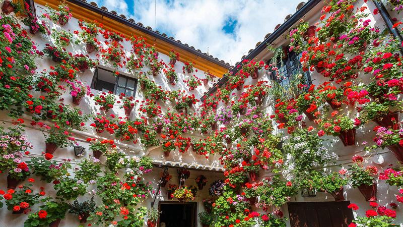 Foto f1cc0404-0879-4fff-994d-d4e4908ed50b. Appartement dans Priego de Córdoba