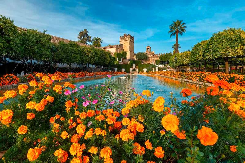 Foto e67cd375-e303-40fd-80b3-d2c45f10af35. Appartement dans Priego de Córdoba