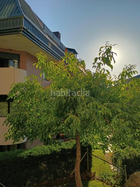 Foto a9e9e1f8-ec6a-4c00-aa09-071464f74ffc. Alquiler piso magnífico piso en alquiler en Villalba Pueblo Collado Villalba