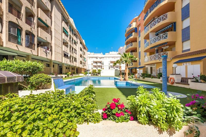 Foto 30c12fea-be46-4a59-b875-aee5d70b7410. Piccolo appartamento con piscina in Parque de las Naciones Torrevieja