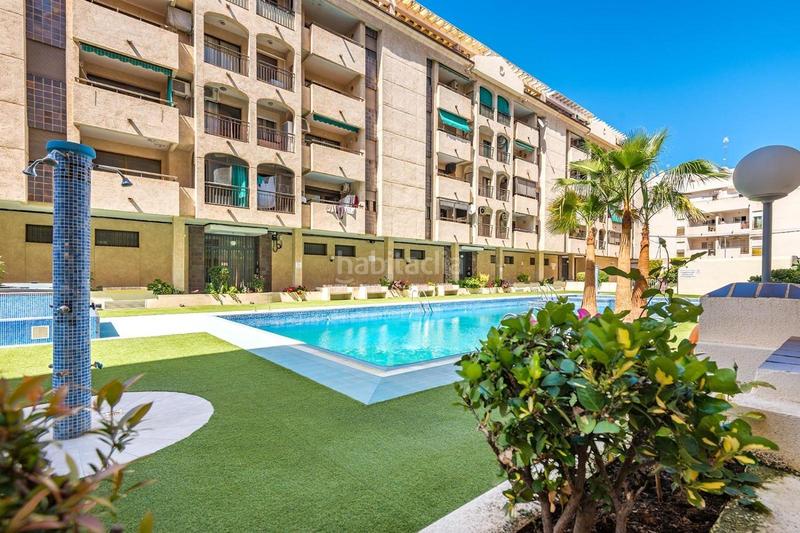 Foto 39087451-9ab9-406a-bfdd-95ead3e89fdb. Piccolo appartamento con piscina in Parque de las Naciones Torrevieja