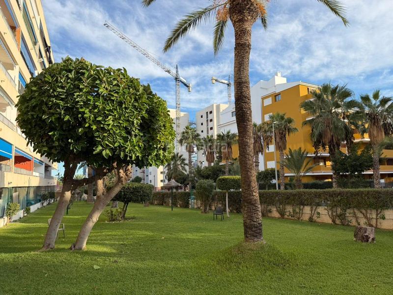 Foto 9171c8e0-817a-4537-9ecf-d8ba256438fe. Appartement avec parking piscine dans Punta Prima Torrevieja
