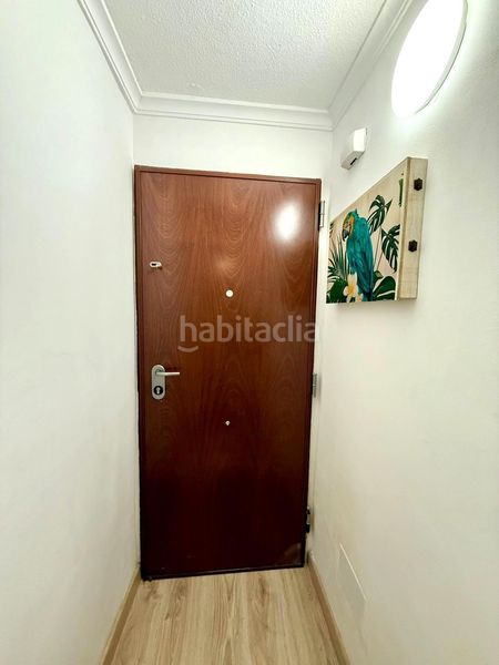 Foto 416d0659-9423-4815-bdf9-c0002bec60eb. Estudi a Avenida Habaneras - Curva de Palangre Torrevieja