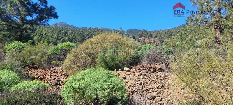 Foto d3b4b3e8-2c78-4289-975a-c7ef317ba218. Finca rústica terreno con cuevas en Araya Candelaria