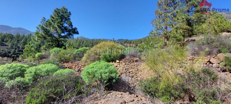 Foto fae1426b-2ad5-4c6e-a6cf-9985c7e60307. Finca rústica terreno con cuevas en Araya Candelaria