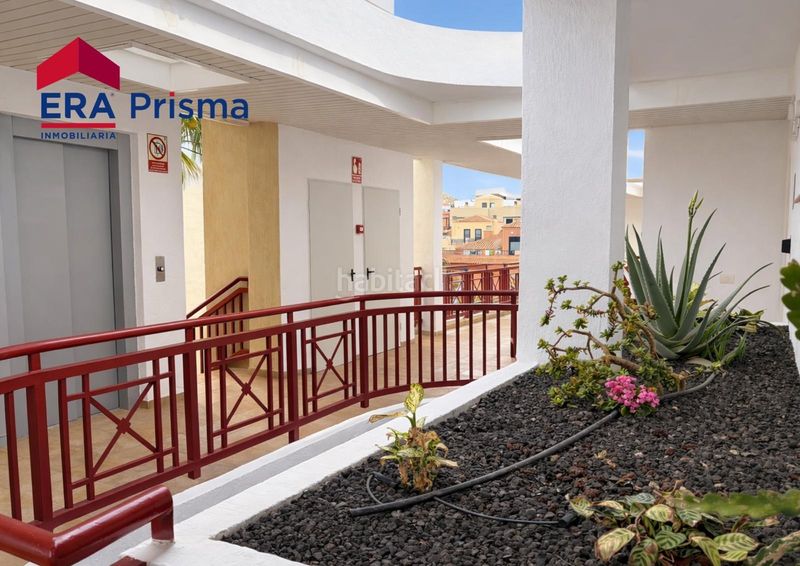 Foto 99d93af5-63d3-448d-8cfb-daee124016dd. Dúplex amb aparcament piscina a Palm - Mar Arona