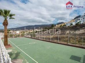 Foto dfb2a91a-6424-4a7b-a9cc-e125df665121. Apartament amb piscina a Playa Fañabé Alto Adeje