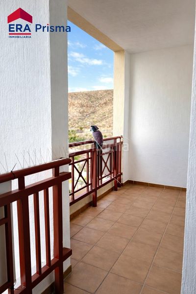 Foto 79c41eea-ecd8-425c-804d-559dd4042ff5. Dúplex amb aparcament a Palm - Mar Arona