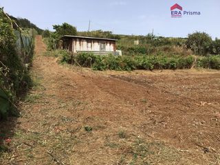 Finca r�stica en Camino del medio s/n. Finca r�stica agricola de 3.376 m2 con cuarto de aperos  los bal