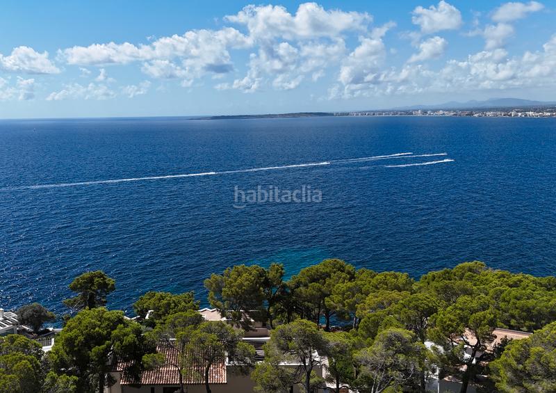 Foto 8337e3bd-5628-45f1-811f-ca470e7b92f7. Chalet avec cheminée chauffage parking piscine dans Son Servera