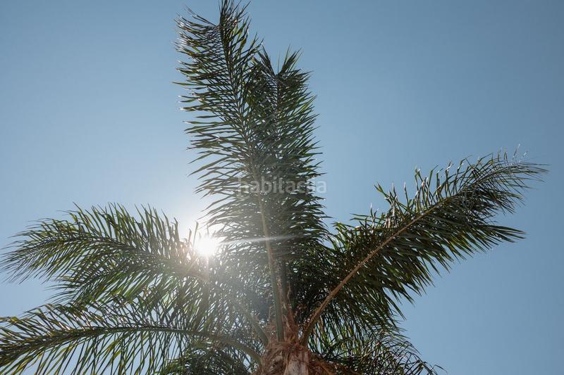 Foto df9abb34-58b3-491a-8ffe-36c8b3883ea7. Location appartement avec chauffage piscine dans Costabella Marbella