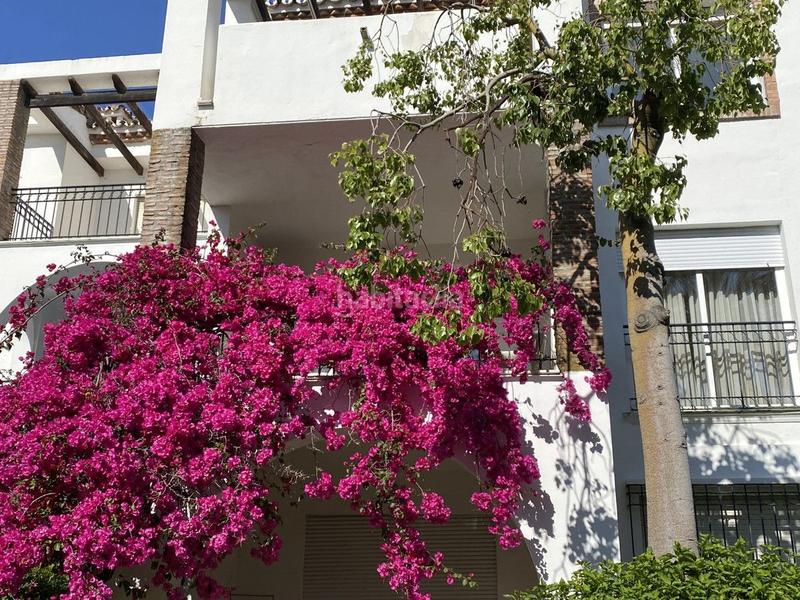 Foto ac0a45ba-6c49-4001-833b-c77814b52bf2. Affitto piccolo appartamento con riscaldamento piscina in Estepona