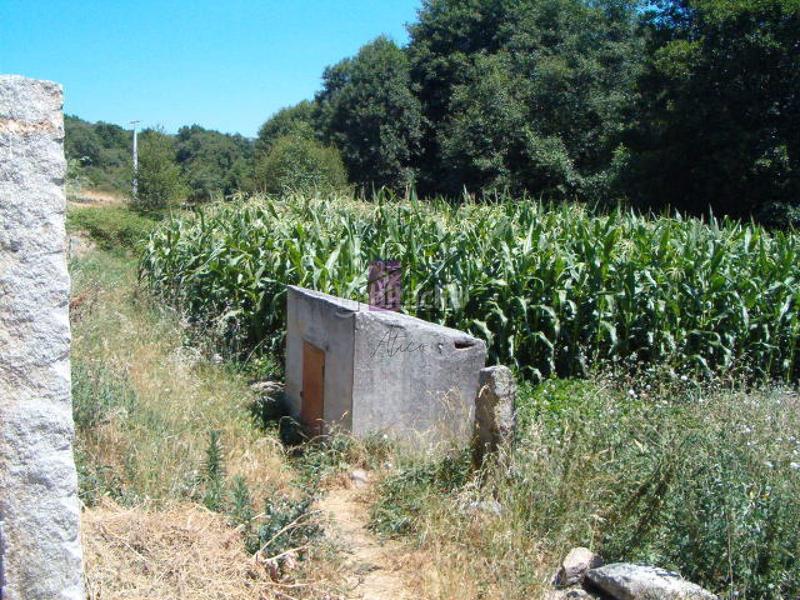 Foto 005a547e-5c38-4a8c-95c5-5bc71e3b1a7c. Terreny residencial a Allariz