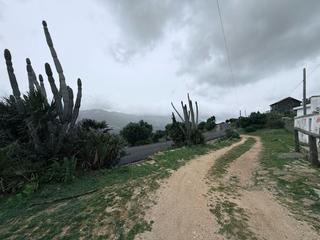 Mas à Facinas