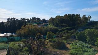 Rural plot in Los Llanos. Parcela rustica con vivenda registrada
