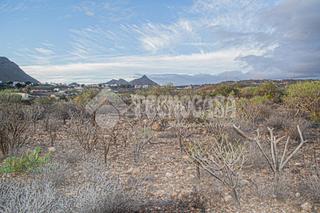 Landgut in La Camella. Terrenos en venta en arona