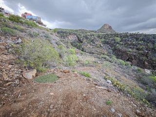 Finca rústica a La Camella. Terrenos en venta en arona