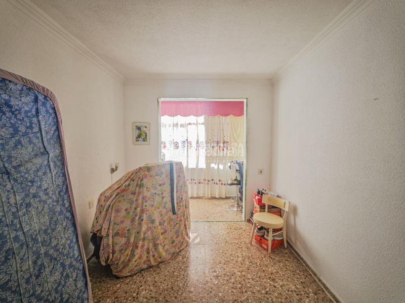 Foto eaa4ad5c-b507-4a89-b1d3-6cce7c75c269. Pis a Los Cristianos Arona