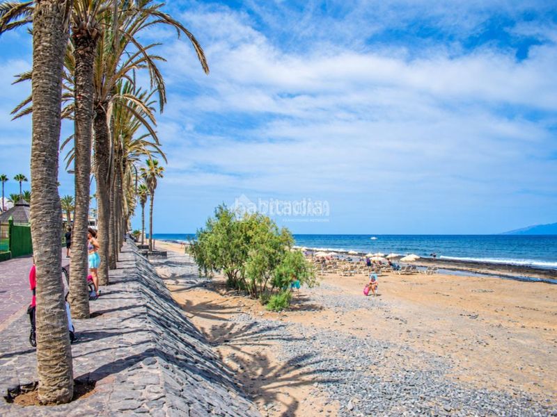 Foto 0cb3daa2-62c8-45a2-b0a2-b15cdf2ffe76. Studio dans Playa de las Américas Arona