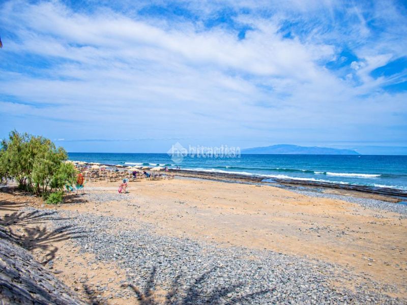 Foto a52cee78-3c7a-46f4-8e60-a623e2010c41. Studio dans Playa de las Américas Arona