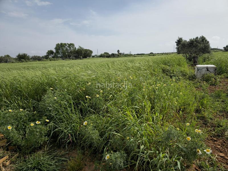 Foto 0e725cfb-5f38-41ec-ad23-38b462f4b812. Masía casa en finca rústica en Centro Puerto Real