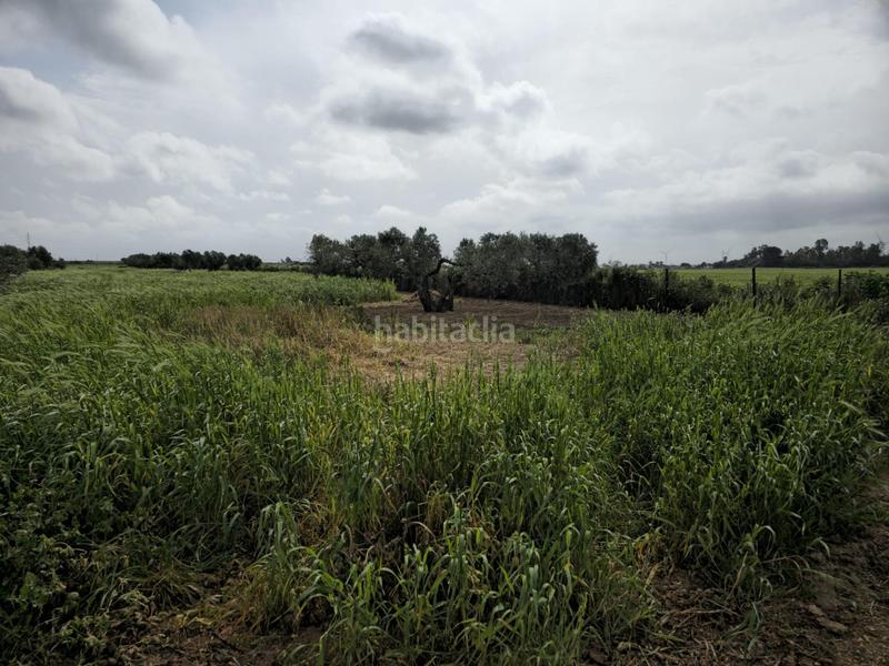 Foto 1b026059-7f93-42e6-9b58-0d12a5471c51. Masía casa en finca rústica en Centro Puerto Real