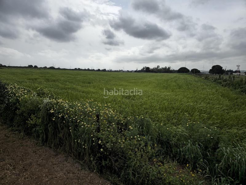 Foto 1faa11ce-7888-400d-ac24-2be1c4897ef8. Masía casa en finca rústica en Centro Puerto Real