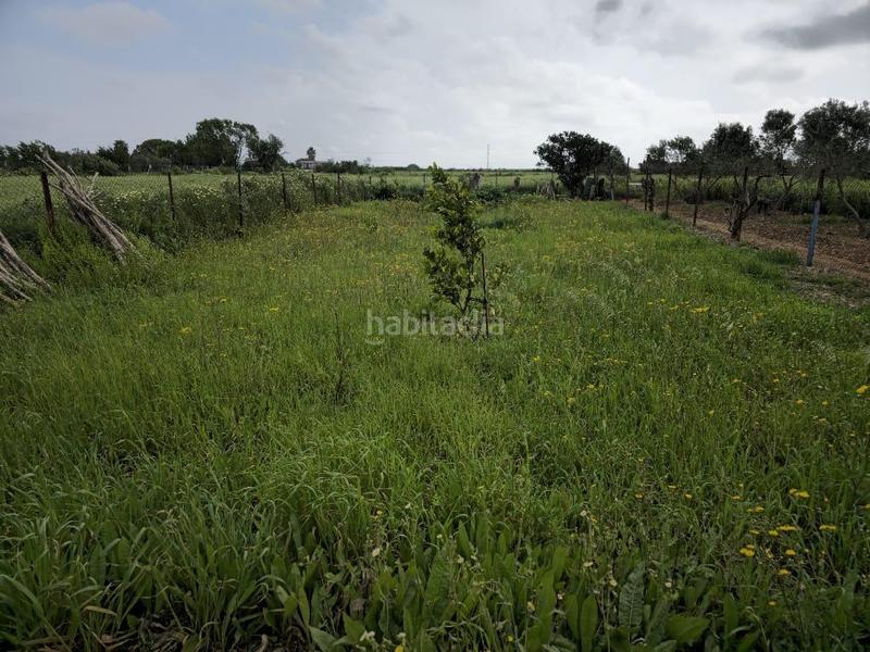 Foto 3e18ae7c-83c6-4e8d-af42-6a19922be88d. Masía casa en finca rústica en Centro Puerto Real