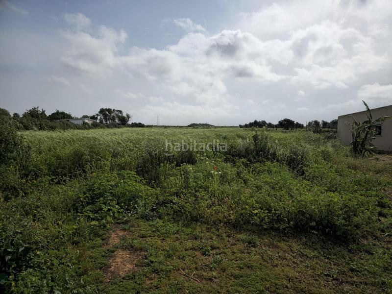 Foto 5e7b4cdd-f6f5-4410-86d4-64136b309a58. Masía casa en finca rústica en Centro Puerto Real