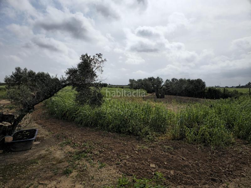 Foto 7f652d83-149b-4b05-8a8c-d4cfd96c212e. Masía casa en finca rústica en Centro Puerto Real