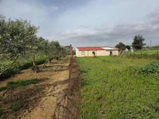 Mas à Centro. Casa en finca rústica