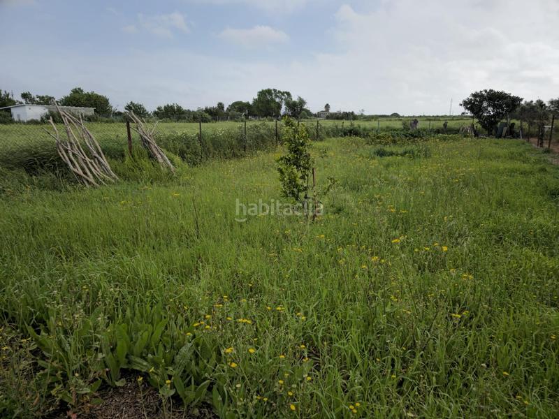 Foto 83faa3ac-333c-4524-ac34-3acf4c12b873. Masía casa en finca rústica en Centro Puerto Real