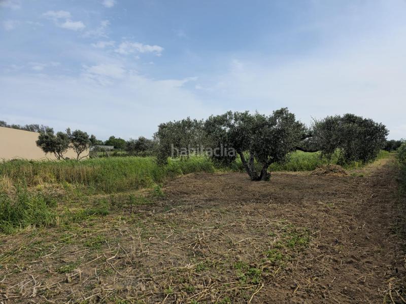 Foto bfcca082-b0d3-41cd-b57d-8269c199f0f7. Masía casa en finca rústica en Centro Puerto Real