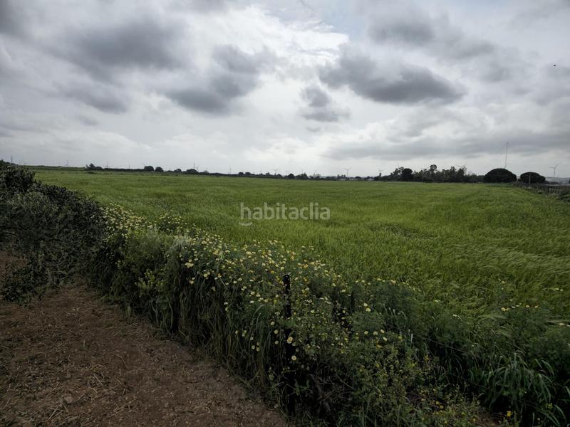 Foto d3094243-27ee-438d-82b5-1827bbfded5e. Masía casa en finca rústica en Centro Puerto Real