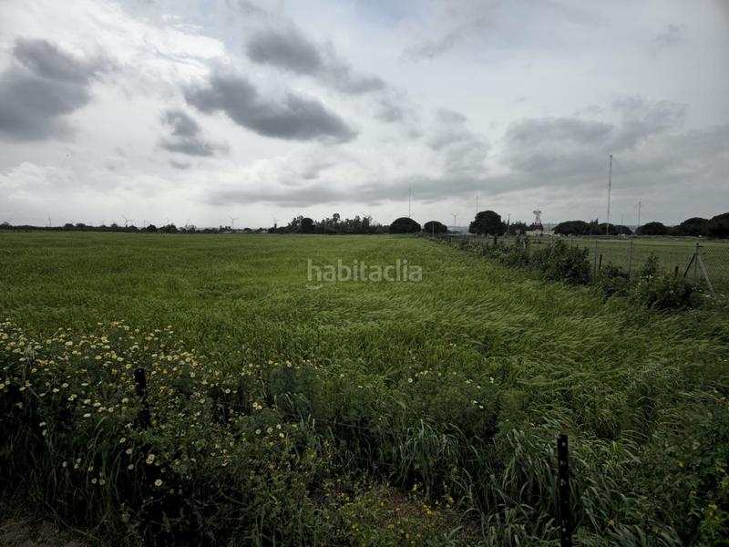 Foto eb9844e0-49c1-4558-8a89-a5a0ff6419e8. Masía casa en finca rústica en Centro Puerto Real