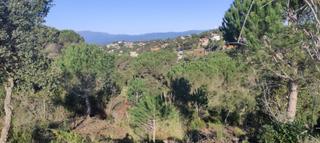 Terreny residencial a Mas Baell-Can Carbó. Oportunidad!!! terreno en venta a 10 minutos de lloret de mar
